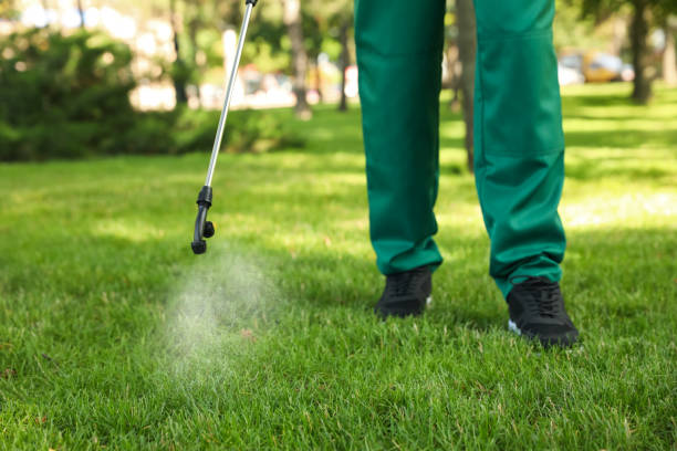 Best Rat Extermination Near Me  in Saks, AL