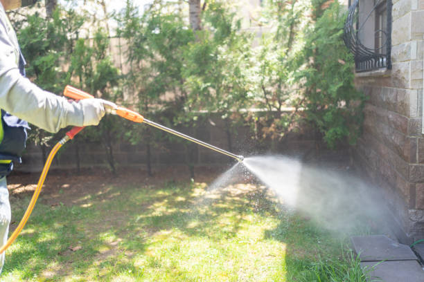 Best Bed Bug Extermination  in Saks, AL