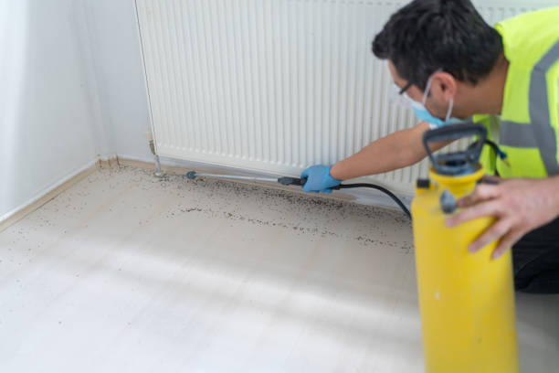 Best Affordable Pest Control Services  in Saks, AL