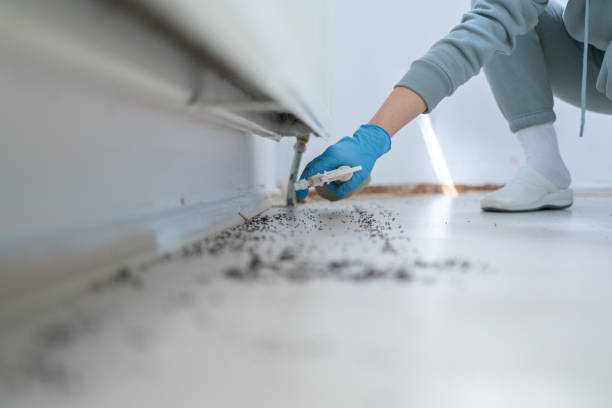Best Bed Bug Extermination  in Saks, AL