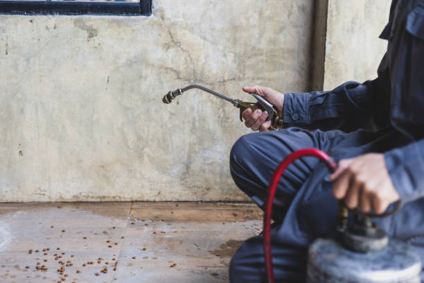 Best Termite Control Services  in Saks, AL